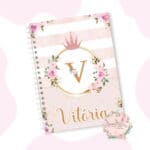 Caderneta de Saúde - Coroa Menina Rosa - Coleção 2.2