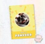 CADERNETA PET - PET 004 AMARELO - COM FOTO