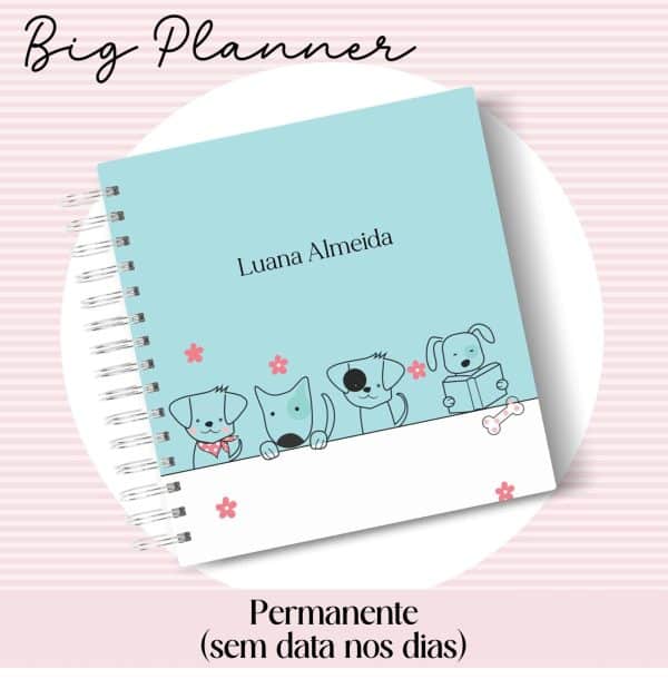 Big Planner Permanente - Capa 39 - Imagem 1