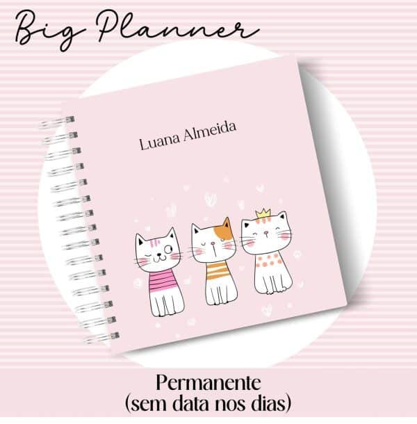 Big Planner Permanente - Capa 40 - Imagem 1