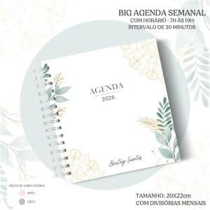 Big Agenda de Horários 2026 - Capa 12