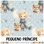 Frasqueira - Pequeno Príncipe - Imagem 6
