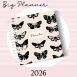 Big Planner 2026 - Capa 23