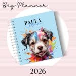 Big Planner 2026 - Capa 41