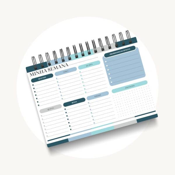 PLANNER SEMANAL - Uso exlusivo do professor - Imagem 3